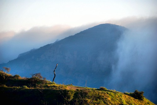 california fog photo hardingtrucktrail clevelandnationalforest modjeska hardingtrail