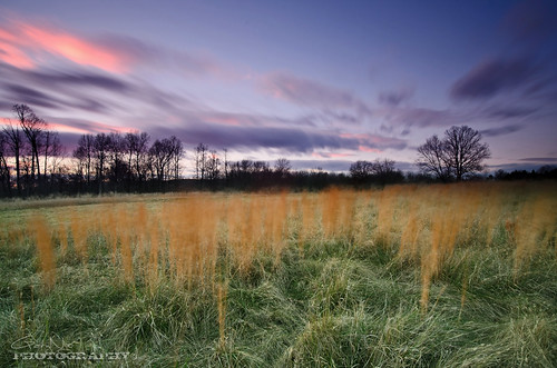 longexposure blue sunset clouds landscape nikon purple farm maryland explore filter nd 1224mm f4 d7000