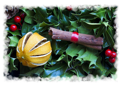 Holly Decoration (border) | by probson32