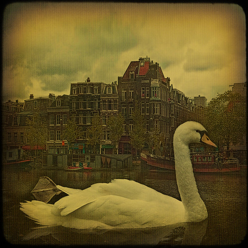 Amsterdam... Along the canals. by egold.