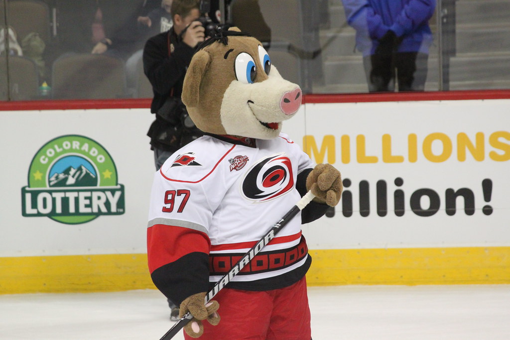 Why is the Carolina Hurricanes mascot a pig? We have the whole