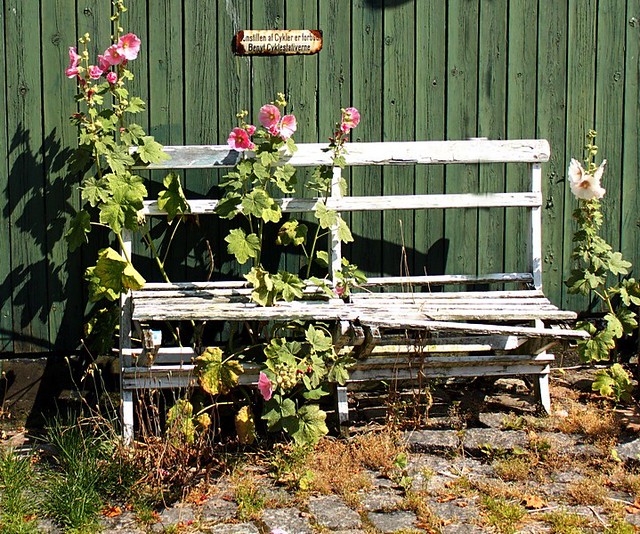 Bench in Dragor / Denmark