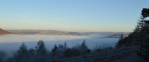 landscape fog frost treetops view