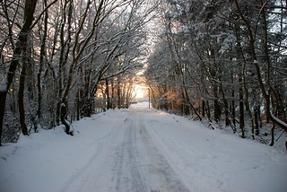 Looking down the lane