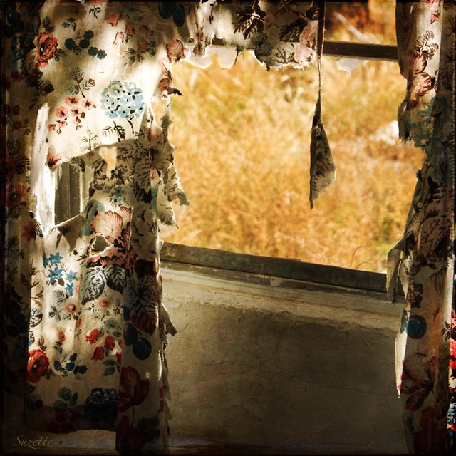 Sunlight And Old Curtains