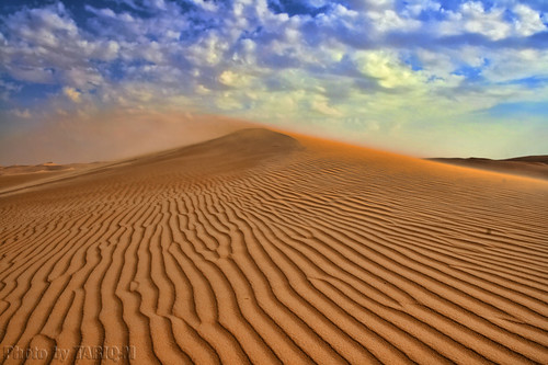 Blowing sand HDR- Explore Front Page by TARIQ-M