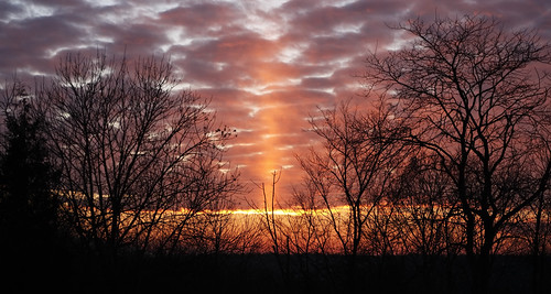 Sun Pillar 01 by billmclaugh, trees sunset cloud silhouette clouds photoshop canon rebel cloudy sunsets tamron sunpillar 2875mm li