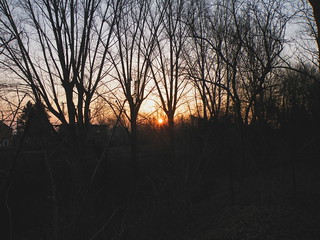 Sonnenaufgang hinter Bäumen