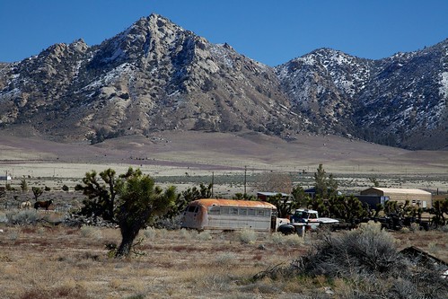 california cactus mountain snow bus unitedstates desert joshuatree onyx canebrake lakeisabella ef24105mmf4lisusm