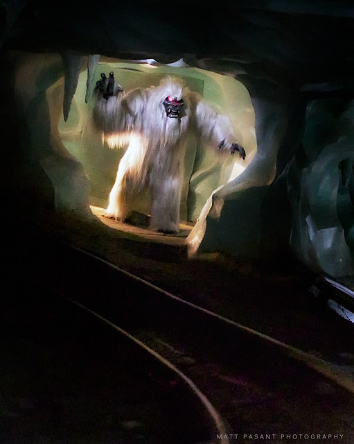 Disneyland - Yeti Ahead