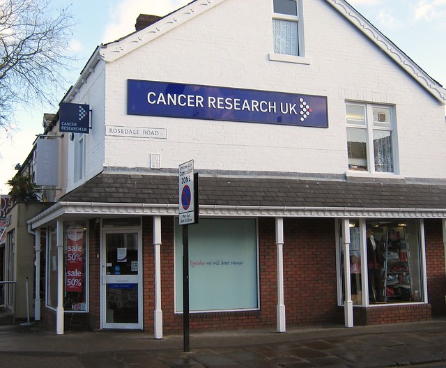 Flickriver: Photoset 'Charity Shop Nine-Mile Walk' by Joey's Dream Garden