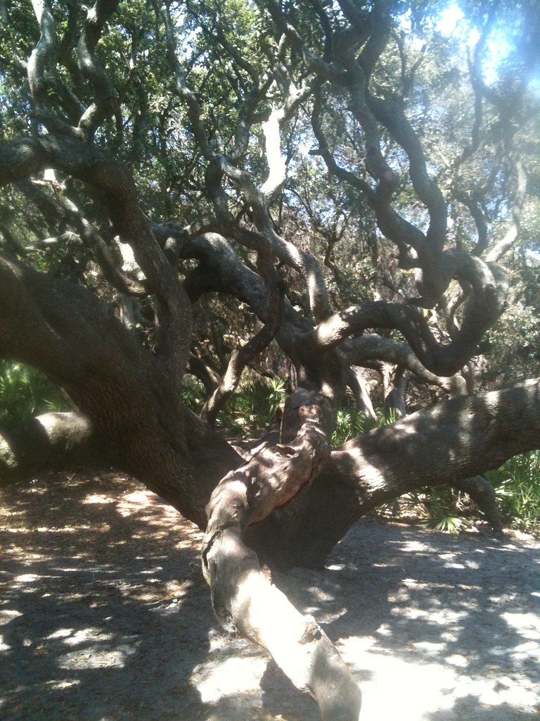 Ranger Station Trail