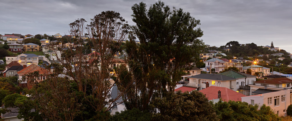 tree with hataitai houses by Lester Ralph Blair