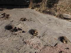 Ancient pounding holes in rock; Galiuro Mountains, AZ