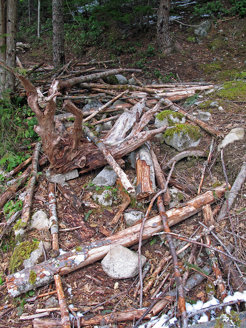 Debris Pile at the entrance to the old Mason Lake Trail