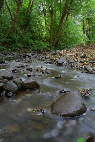 green water forest landscape washington stream scenic rockcreek peell blurrywater