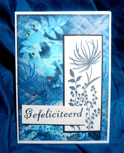 blue card | by Linda van Vliet