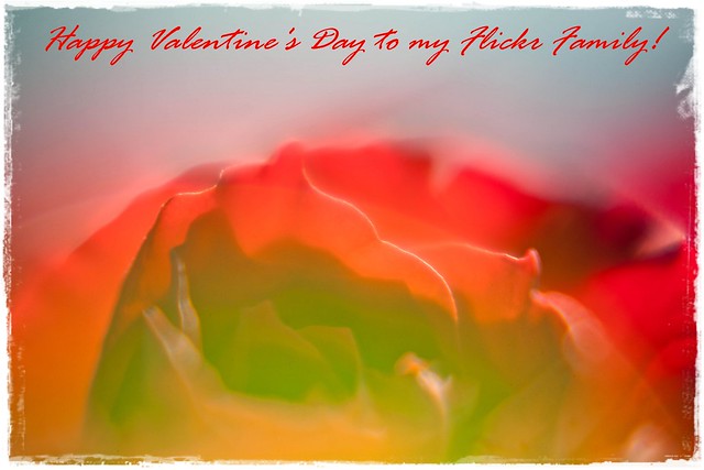Happy Valentine's Day to my Flickr Family