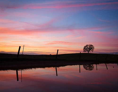 california pink blue sunset orange reflection tree colors silhouette yellow rural canon landscape twilight country magenta tranquility calm sigma1020mm loneoak 40d ranchomurietta