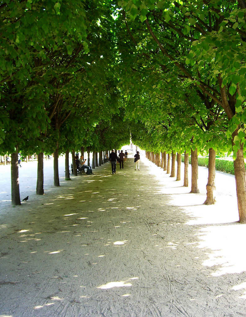 Palais Royal Gardens Paris Trees Lining A Pathway At Pala Flickr