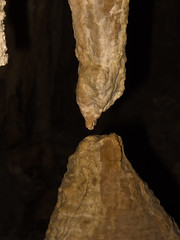 At Mammoth Cave