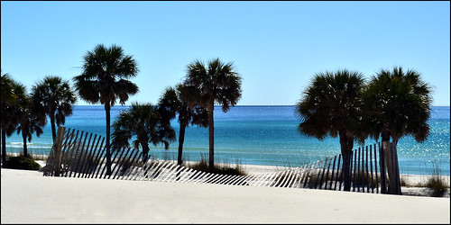 beach sand florida palmtrees panamacitybeach fiestabeach nikond3100 nikkor1855afsvrlens