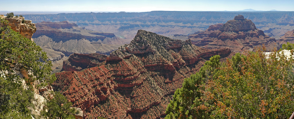 Grand Canyon National Park: NR Cape Royal 0657
