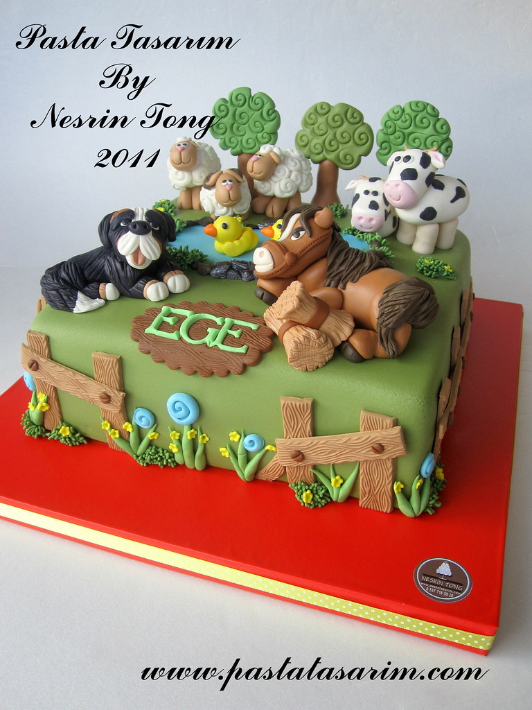 FARM ANIMAL CAKE - EGE BIRTHDAY CAKE  | CAKE BY  NESRİN TONG | Flickr