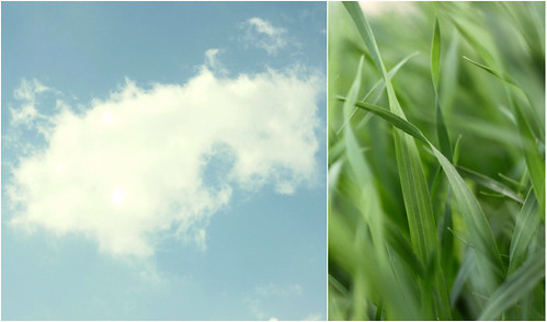blue sky white green grass spring diptych wind fluffy gifts clod marchsecond threehundredsixty iptych