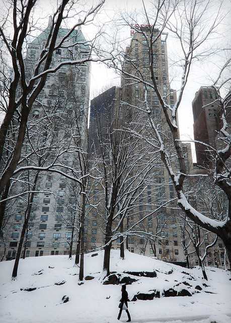 Central Park Winter Scene