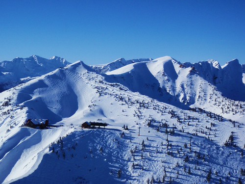 Kicking Horse, winter mountain snow canada ski tree ice golden skiing bc nest britishcolumbia columbia canadian resort snowboard gondola british eagles kickinghorse