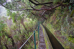 2011-03-05 03-13 Madeira 459 Rabaçal, 25 Fontes, Cascada do Risco