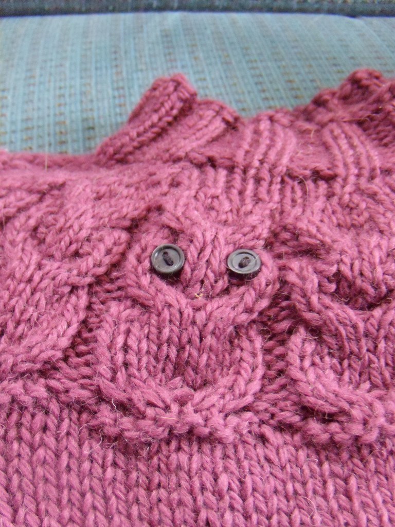 DSCN3217 | owls sweater. yarn: cascade eco+ 1.5ish skeins (h… | Flickr