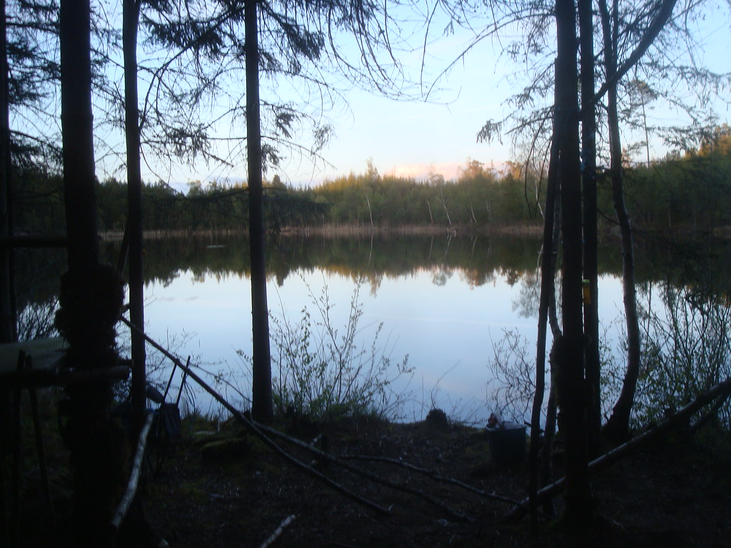 'Preparing our summer forest rave' - crew setting up an outdoor DIY rave