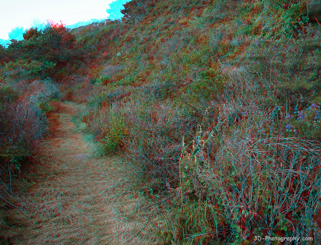 The Iversen Cove Trail - Mendocino County, California - 3D stereo Anaglyph