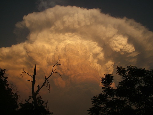 Cumulus cloud over Austin. by W5ICU, cloud austin