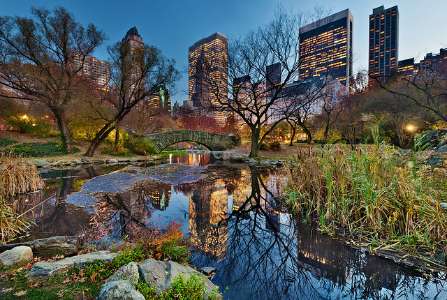 Beautiful night of Fall on Central Park and New York city skyline, NYC, NY | HDR