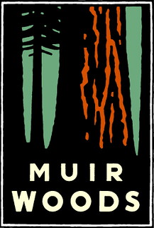 Muir Woods | by M.LaFlaur
