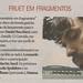 'Fruet em Fragmentos' ZH Contracapa - 23/04/2011