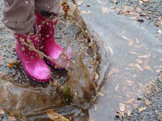 Jumping in puddles | by little miss ladybug