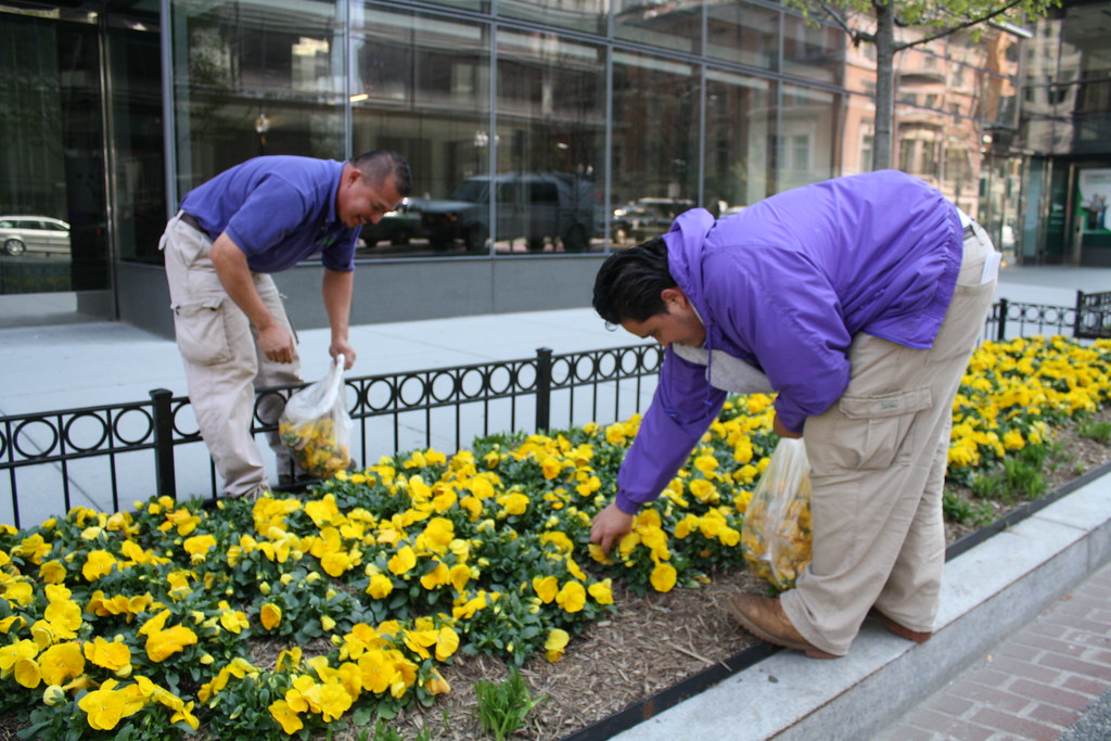 03.Landscapers.17thStreet.NW.WDC.14April2011 | Landscapers .… | Flickr