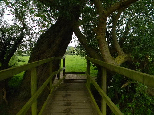 Bridge and trees Huntingdon Circular