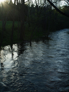 Rain Swollen Creek
