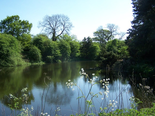 Horseshoe Pond