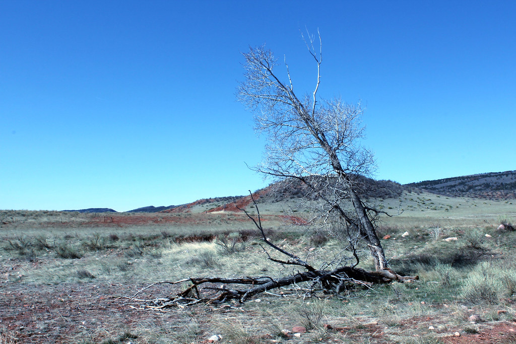 Stone Circle Trail