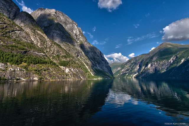 Norwegian Beauty