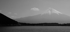 Lake Tanuki and Mount Fuji
