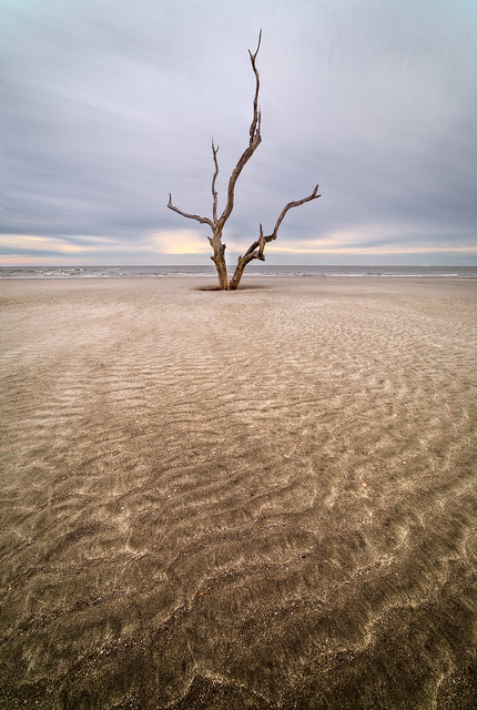 Muted Ripples...  Capers Island, South Carolina [Explored]