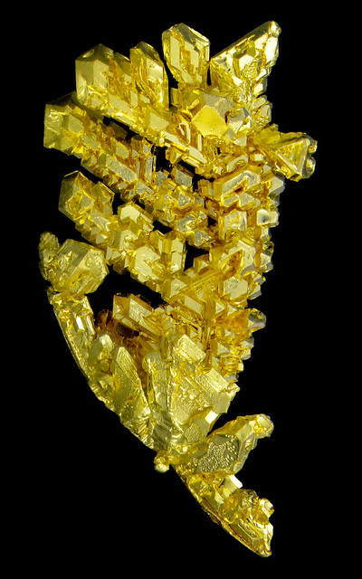 Dendritic Gold Crystals
