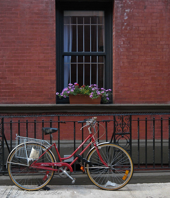 Bicycle and window box